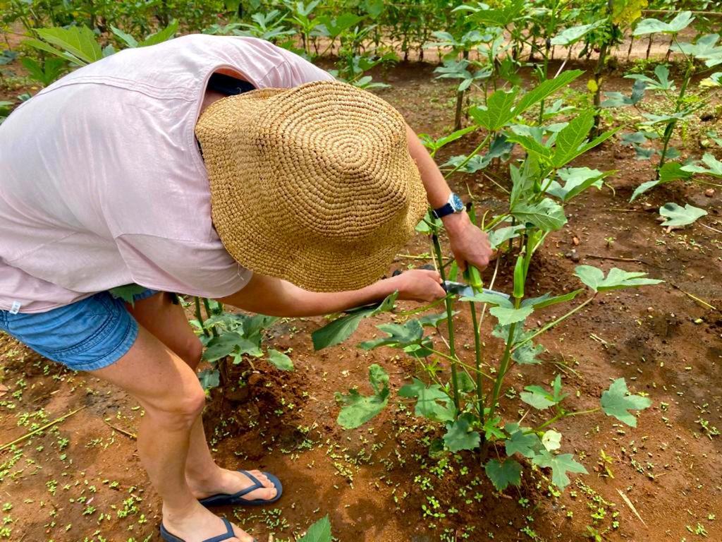 Moni Farm House Wilpattu Nochchiyagama Ngoại thất bức ảnh
