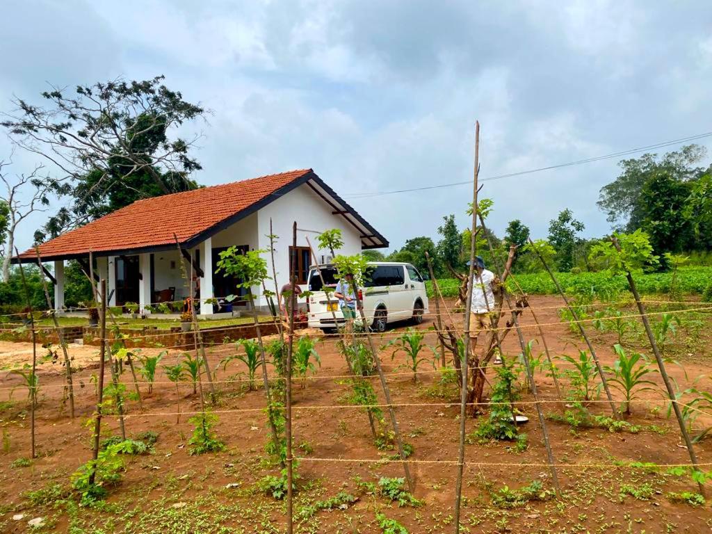 Moni Farm House Wilpattu Nochchiyagama Ngoại thất bức ảnh