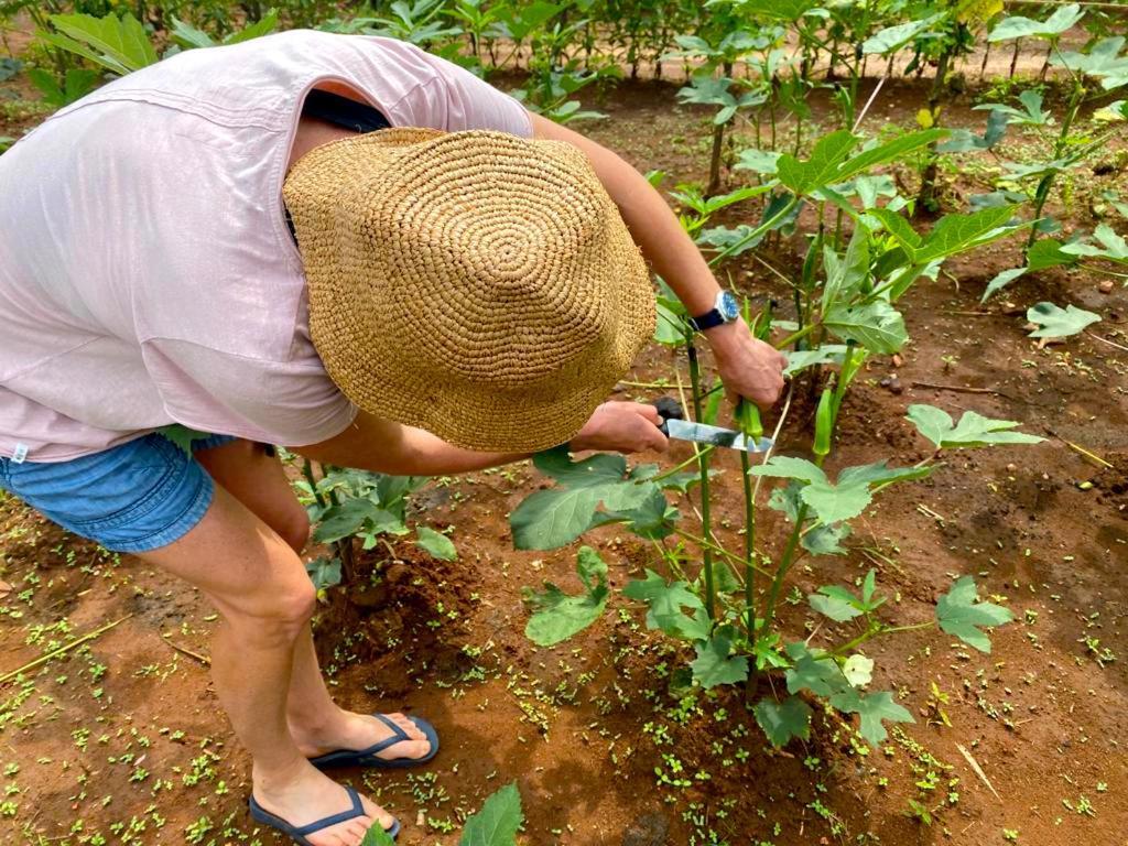 Moni Farm House Wilpattu Nochchiyagama Ngoại thất bức ảnh