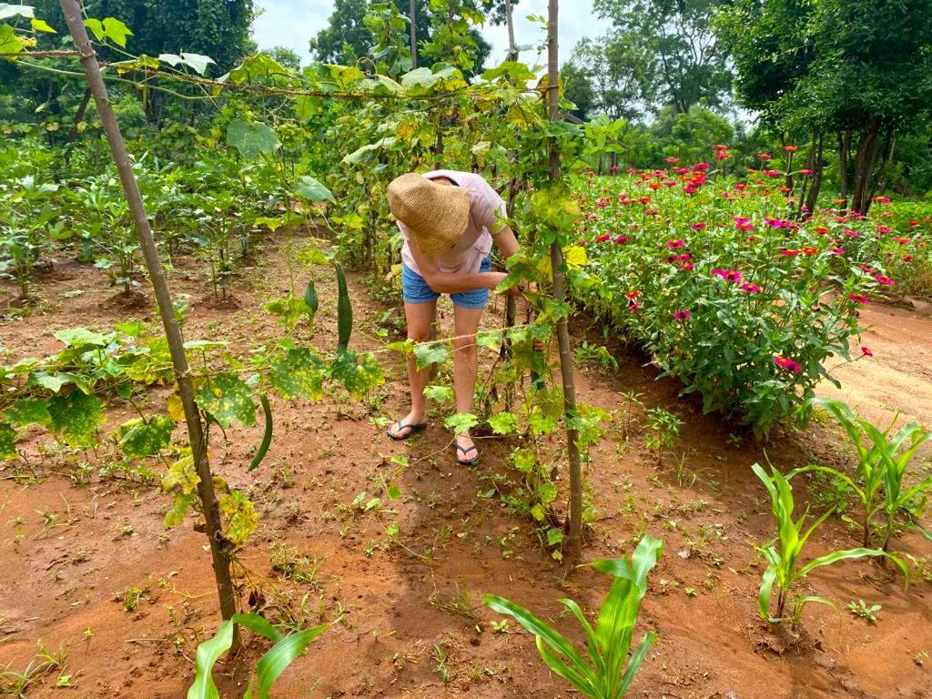 Moni Farm House Wilpattu Nochchiyagama Ngoại thất bức ảnh