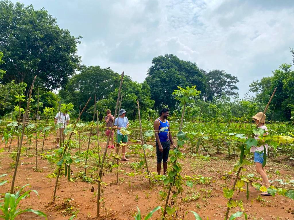 Moni Farm House Wilpattu Nochchiyagama Ngoại thất bức ảnh