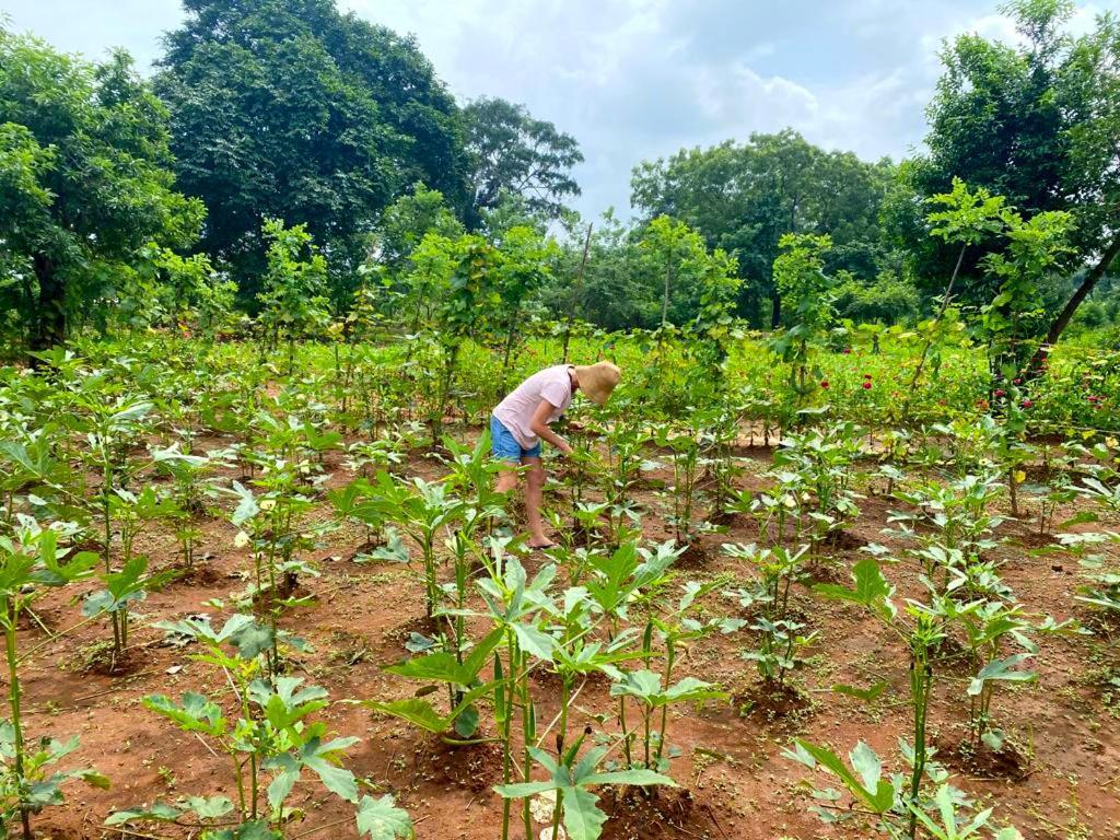Moni Farm House Wilpattu Nochchiyagama Ngoại thất bức ảnh