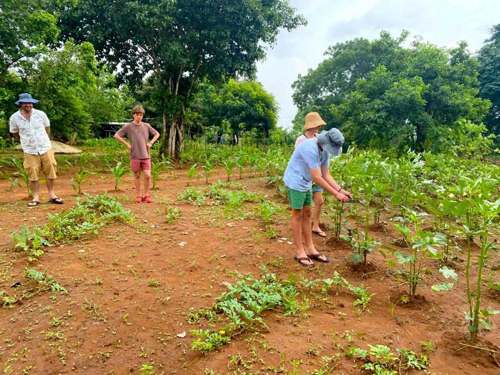 Moni Farm House Wilpattu Nochchiyagama Ngoại thất bức ảnh