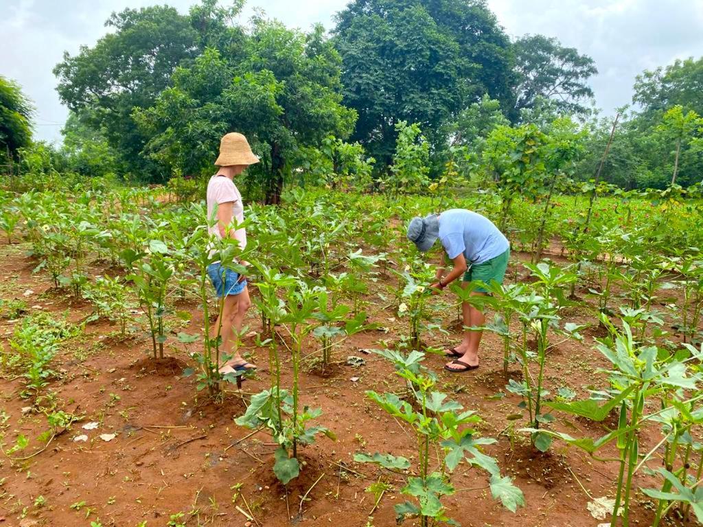 Moni Farm House Wilpattu Nochchiyagama Ngoại thất bức ảnh