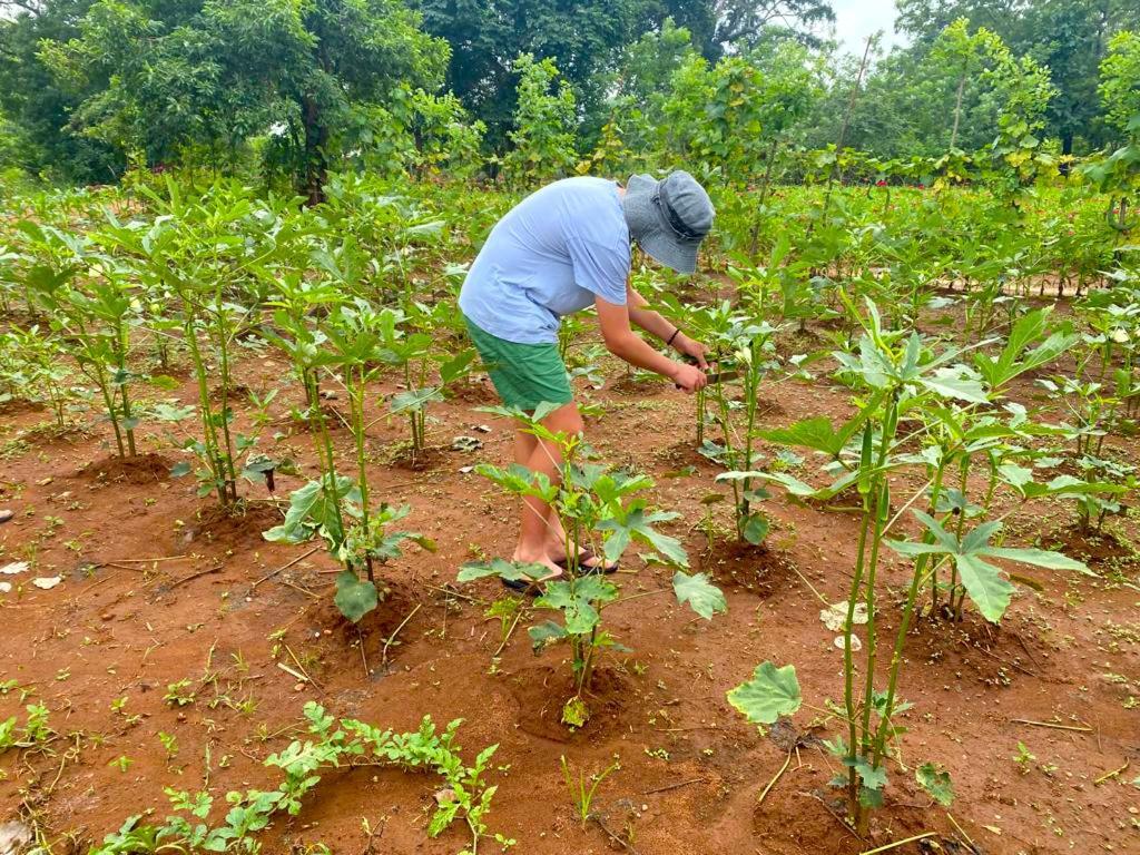 Moni Farm House Wilpattu Nochchiyagama Ngoại thất bức ảnh