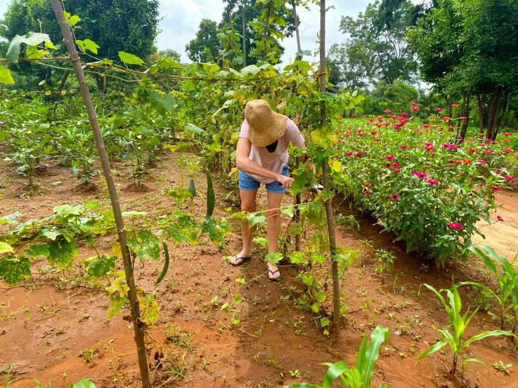 Moni Farm House Wilpattu Nochchiyagama Ngoại thất bức ảnh
