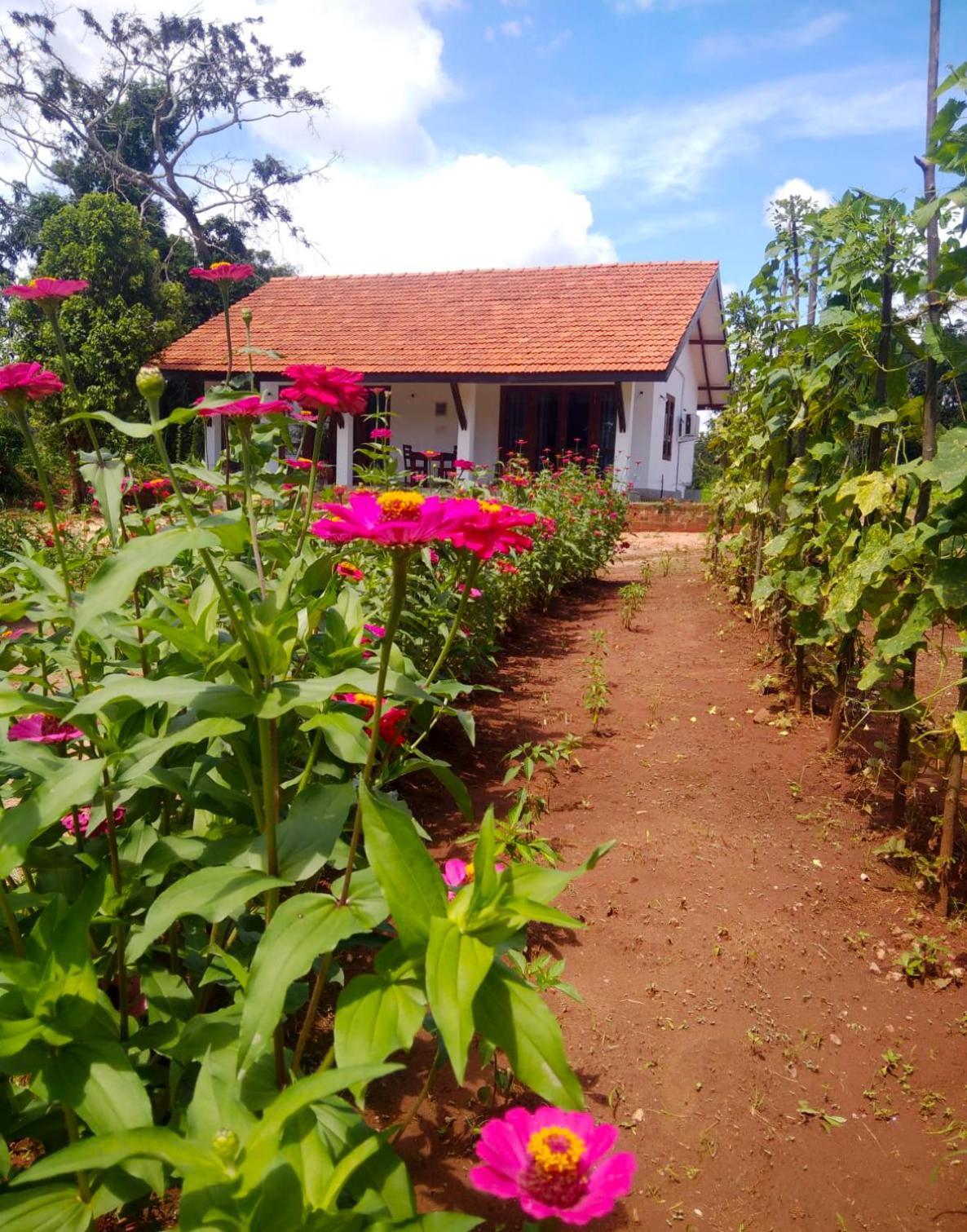 Moni Farm House Wilpattu Nochchiyagama Ngoại thất bức ảnh