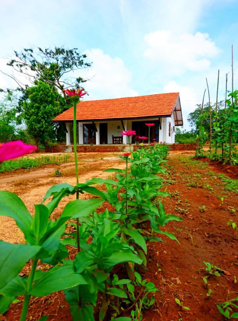 Moni Farm House Wilpattu Nochchiyagama Ngoại thất bức ảnh