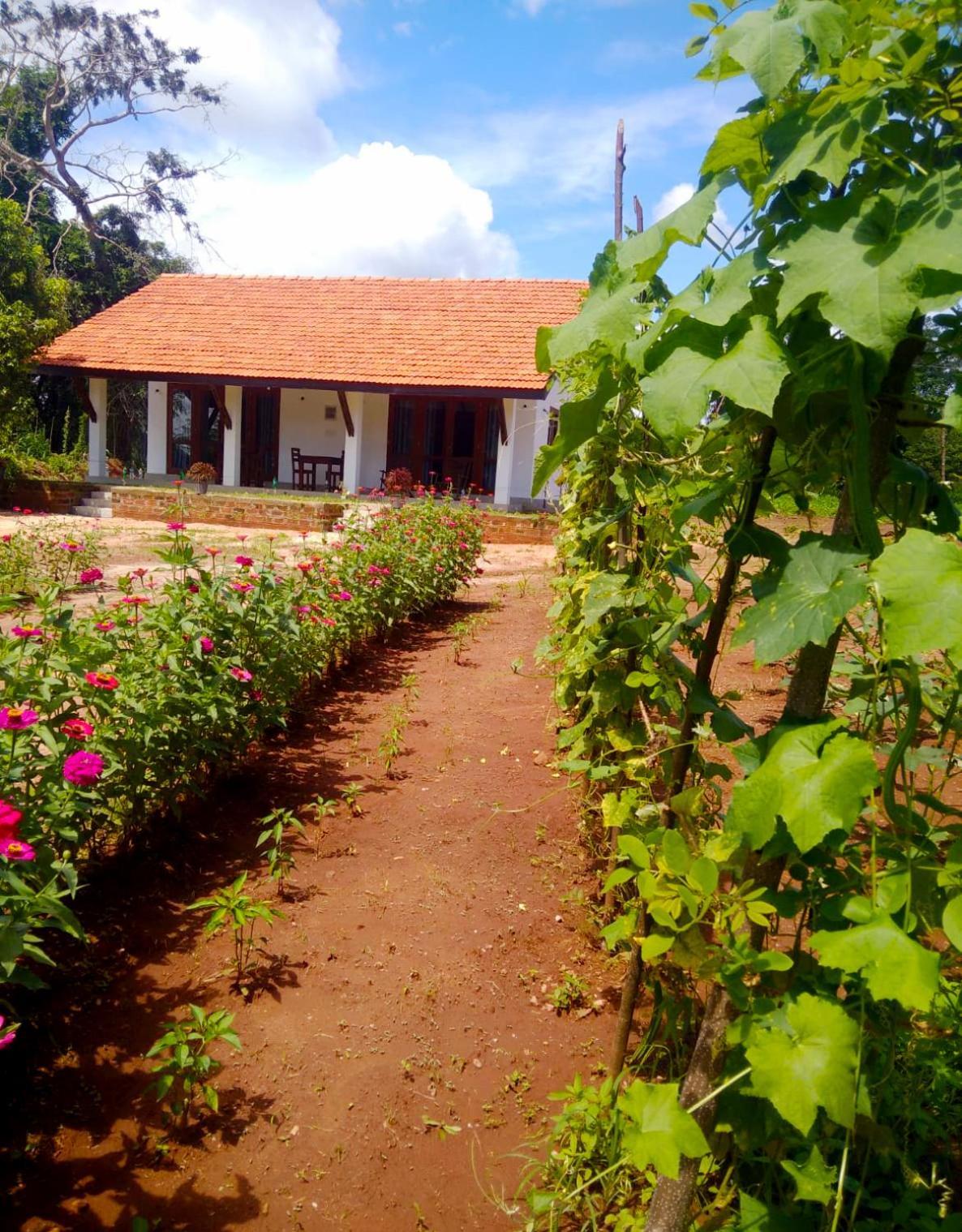 Moni Farm House Wilpattu Nochchiyagama Ngoại thất bức ảnh