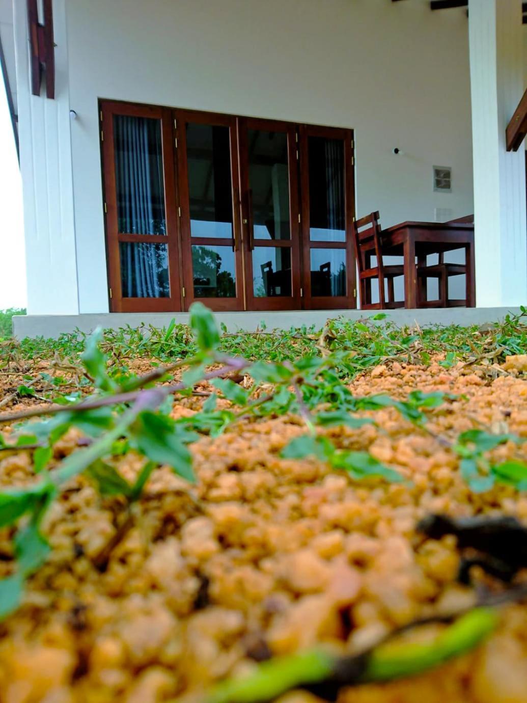 Moni Farm House Wilpattu Nochchiyagama Ngoại thất bức ảnh